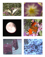Thumbnail pictures